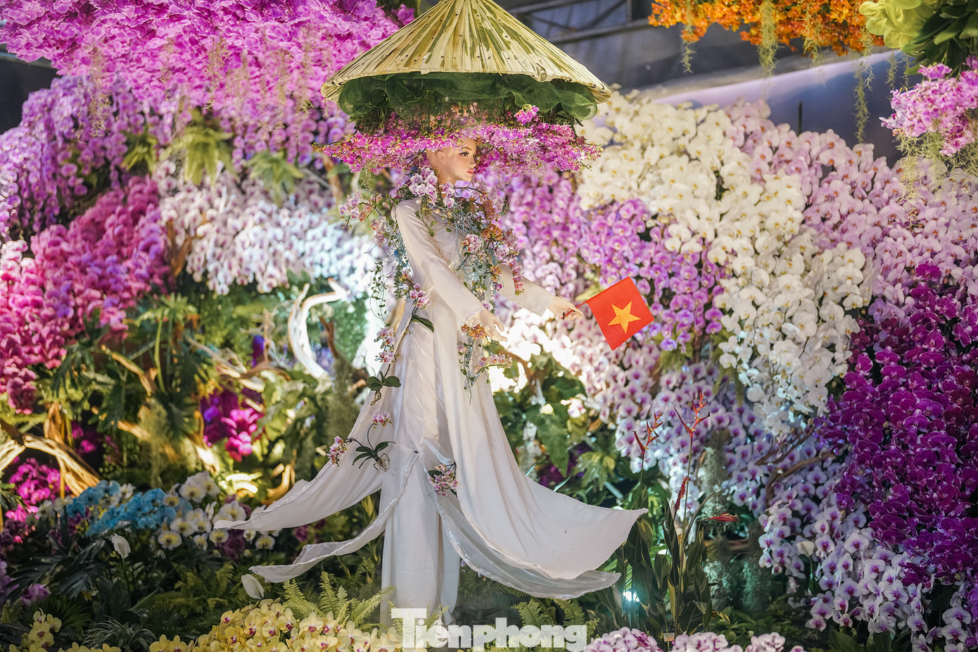 Bên trong không gian hoa lan "Hồn Việt" mang đến cho du khách cảm giác được "tắm hoa" bằng mắt và cảm nhận hương thơm. Tác phẩm Hồn Việt đã đoạt giải Bạc tại triển lãm Hoa lan Quốc tế Đài Loan - TIOS 2025
