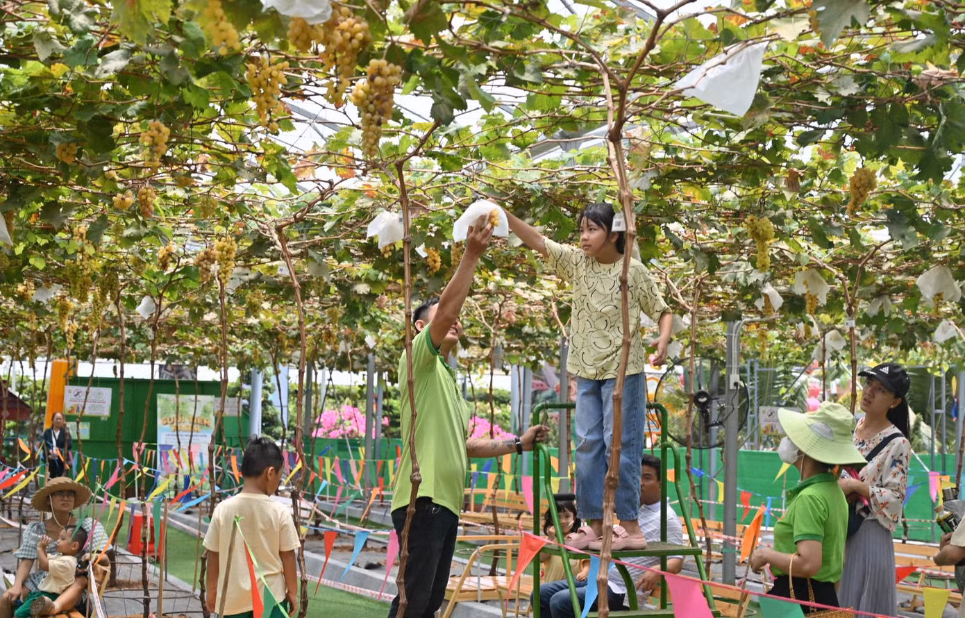 Những nơi có bóng mát thu hút khá đông du khách. Đồng thời, hôm nay Suối Tiên còn cho ra mắt công trình mới "Tinh Tú Thiên Hà - The Nebula", đây là một thế giới diệu kỳ được tạo ra bởi vẻ đẹp hòa hợp của bốn yếu tố: Không khí - Đất - Nước - Lửa.