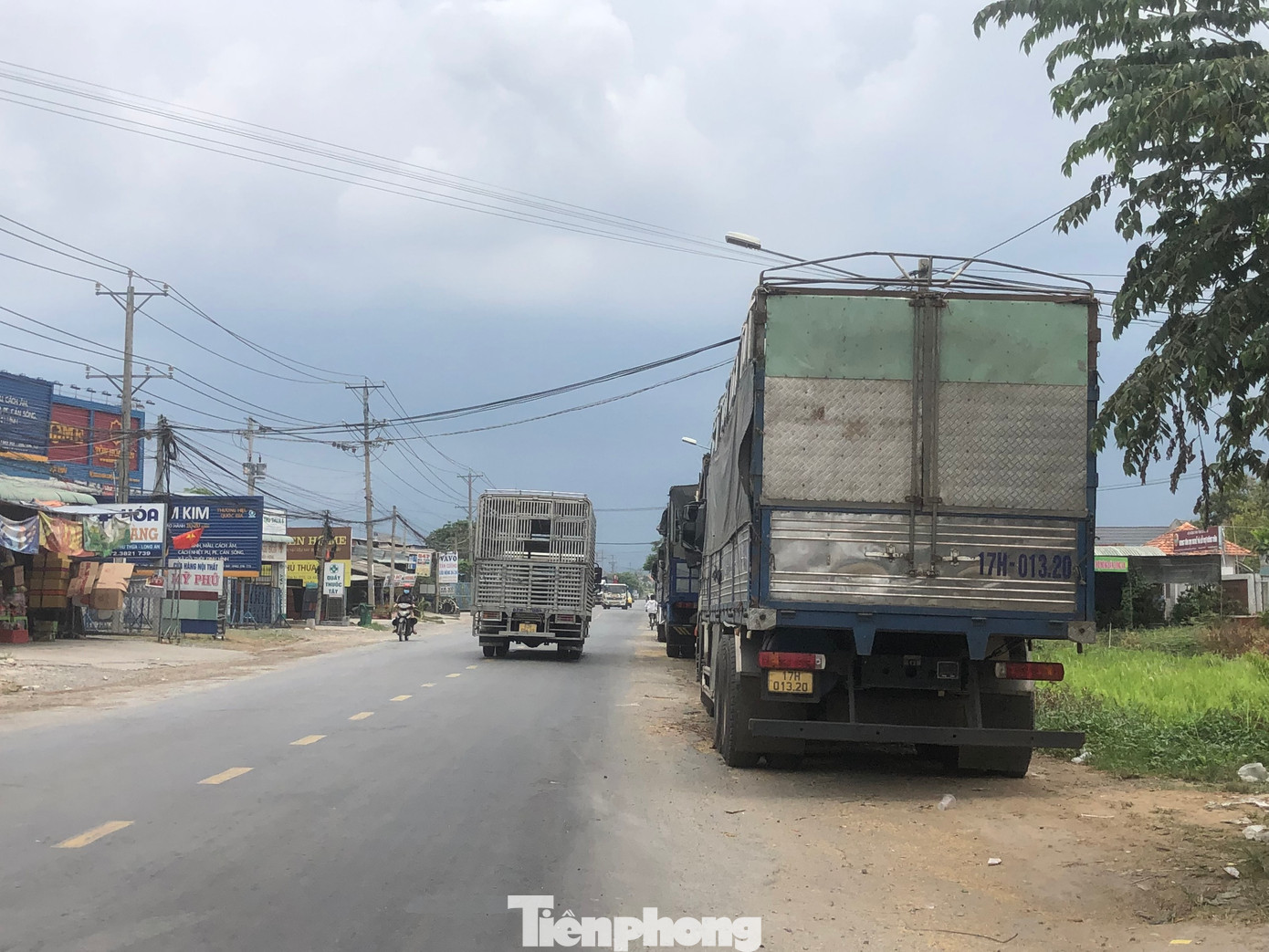 Nhiều xe tải chở lúa mang biển số các tỉnh Đắk Lắk, Đắk Nông, Bình Dương, Lâm Đồng... thậm chí các tỉnh phía Bắc.