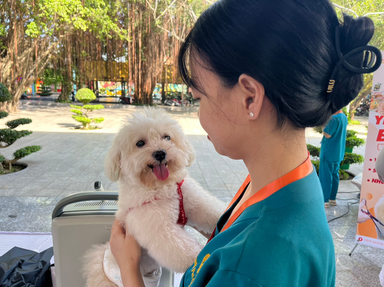 Nhiều cơ sở có dịch vụ chăm sóc thú cưng cũng mang đến những chú cún được chăm sóc kỹ từ lông đến móng, cũng như các chứng nhận sức khoẻ...