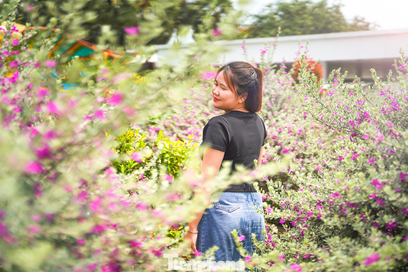 Vượt hàng chục cây số để đến vườn hoa này check in, bạn Duy Thọ (quận Bình Thạnh) cho biết: “Mấy hôm nay nghe kể nhiều về vườn hoa này nên hôm nay tôi và nhóm bạn đến đây chụp ảnh. Được chụp ảnh cùng loài hoa mà chỉ nghe tên thôi đã thấy thích, tôi rất vui vì bản thân rất hâm mộ bộ tiểu thuyết võ hiệp cùng tên của nhà văn Kim Dung”.