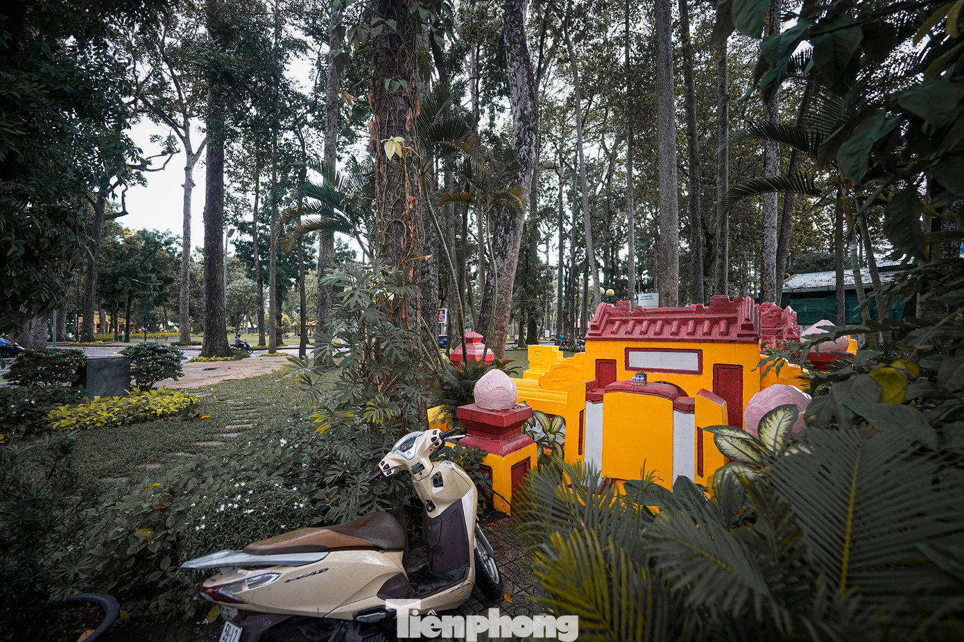 Ngày 10/4/2014, UBND TPHCM quyết định công nhận mộ cổ họ Lâm là di tích lịch sử cấp thành phố.