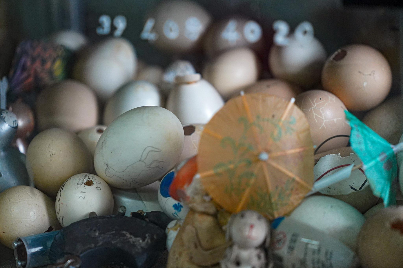 Vỏ trứng sau khi được lấy sạch phần ruột bên trong, ông Tâm sẽ phơi vài nắng để tạo độ bền cho vỏ trứng. Để tăng độ bền, nghệ nhân sẽ không rửa mà chừa phần lòng trắng còn dính bên trong để tan độ kết dính cho vỏ sau khi phơi khô. Riêng trứng chim cút, do màu sắc không được như ý nên ông Tâm đã tìm ra cách tẩy trắng bằng chất axit tự nhiên có trong chanh hoặc quất, nên không gây ảnh hưởng đến sức khỏe của người dùng.