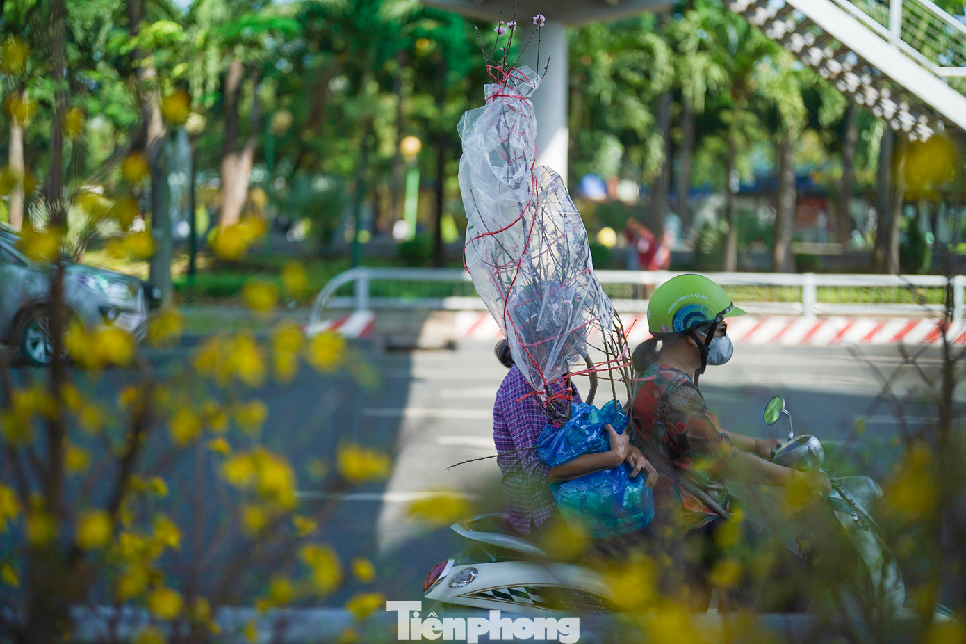 Một cây đào tán vừa phải, giá hơn 500.000 đồng vừa được mua.