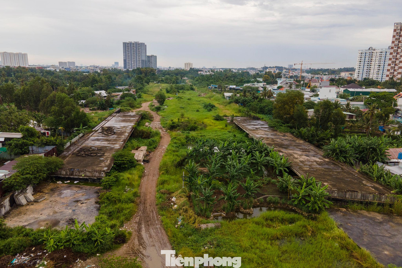 Thậm chí công trường còn mọc lên cả một vườn chuối. Thông tin với PV Tiền Phong, ông Lương Minh Phúc, Giám đốc Ban quản lý dự án đầu tư xây dựng các công trình giao thông TPHCM (gọi tắt là Ban giao thông) cho biết, đoạn 3 của đường vành đai 2 ở TP Thủ Đức (dài hơn 2,7km) do nhà đầu tư Văn Phú -Bắc Ái thực hiện. Tuy nhiên, hiện nay dự án này đang gặp các vướng mắc và được TP tập trung tháo gỡ để tiếp tục hoàn thành. Thậm chí công trường còn mọc lên cả một vườn chuối. Thông tin với PV Tiền Phong, ông Lương Minh Phúc, Giám đốc Ban quản lý dự án đầu tư xây dựng các công trình giao thông TPHCM (gọi tắt là Ban giao thông) cho biết, đoạn 3 của đường vành đai 2 ở TP Thủ Đức (dài hơn 2,7km) do nhà đầu tư Văn Phú -Bắc Ái thực hiện. Tuy nhiên, hiện nay dự án này đang gặp các vướng mắc và được TP tập trung tháo gỡ để tiếp tục hoàn thành.