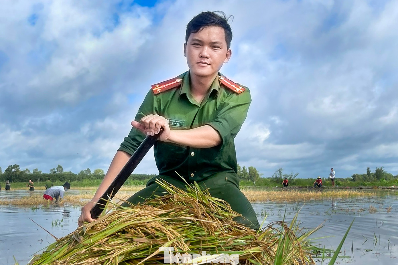 Giữa cái nắng gắt của vùng biên giới, những chiến sĩ công an ngâm mình trong nước cắt và vận chuyển lúa để lại những tình cảm, ấn tượng tốt đẹp cho người dân. Ảnh: Biện Cường