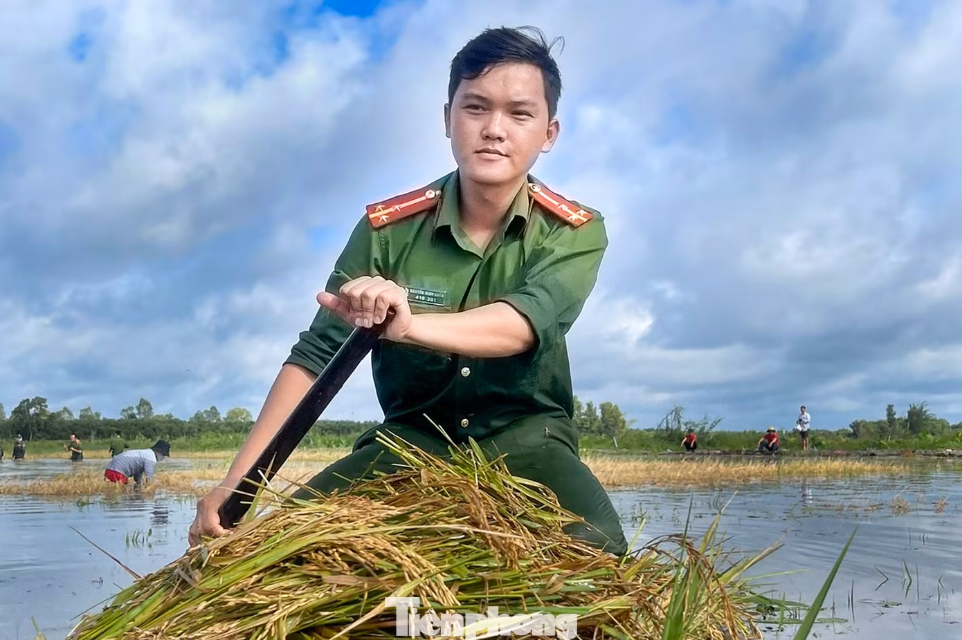 Giữa cái nắng gắt của vùng biên giới, những chiến sĩ công an ngâm mình trong nước cắt và vận chuyển lúa để lại những tình cảm, ấn tượng tốt đẹp cho người dân. Ảnh: Biện Cường