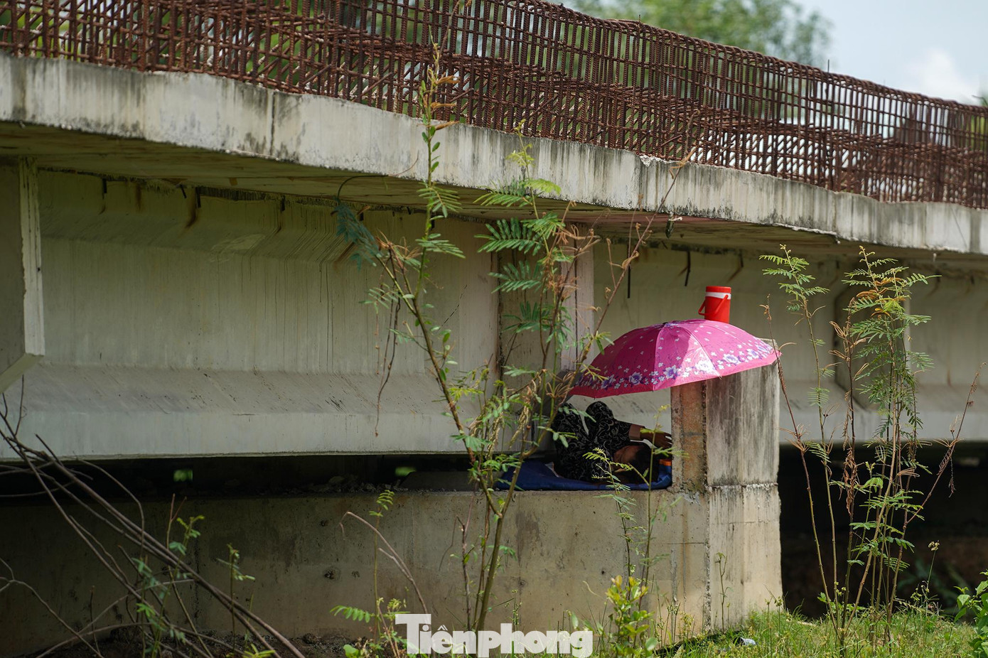 Một người trông coi gia súc tranh thủ ngả lưng nghỉ trưa. Một người trông coi gia súc tranh thủ ngả lưng nghỉ trưa.