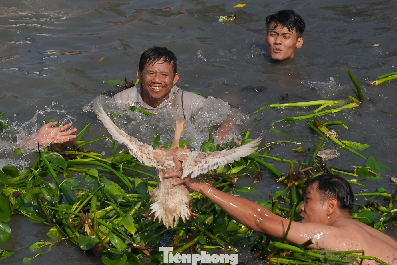 &quot;Tất cả người dự thi đều phải bắt vịt bằng tay không, không được sử dụng bất kỳ dụng cụ hỗ trợ nào. Cuộc thi không giới hạn số người tham gia. Ai có khả năng thì cứ nhảy xuống bắt, chỉ cần biết bơi lội thôi&quot; - một thành viên thả vịt cho hay.