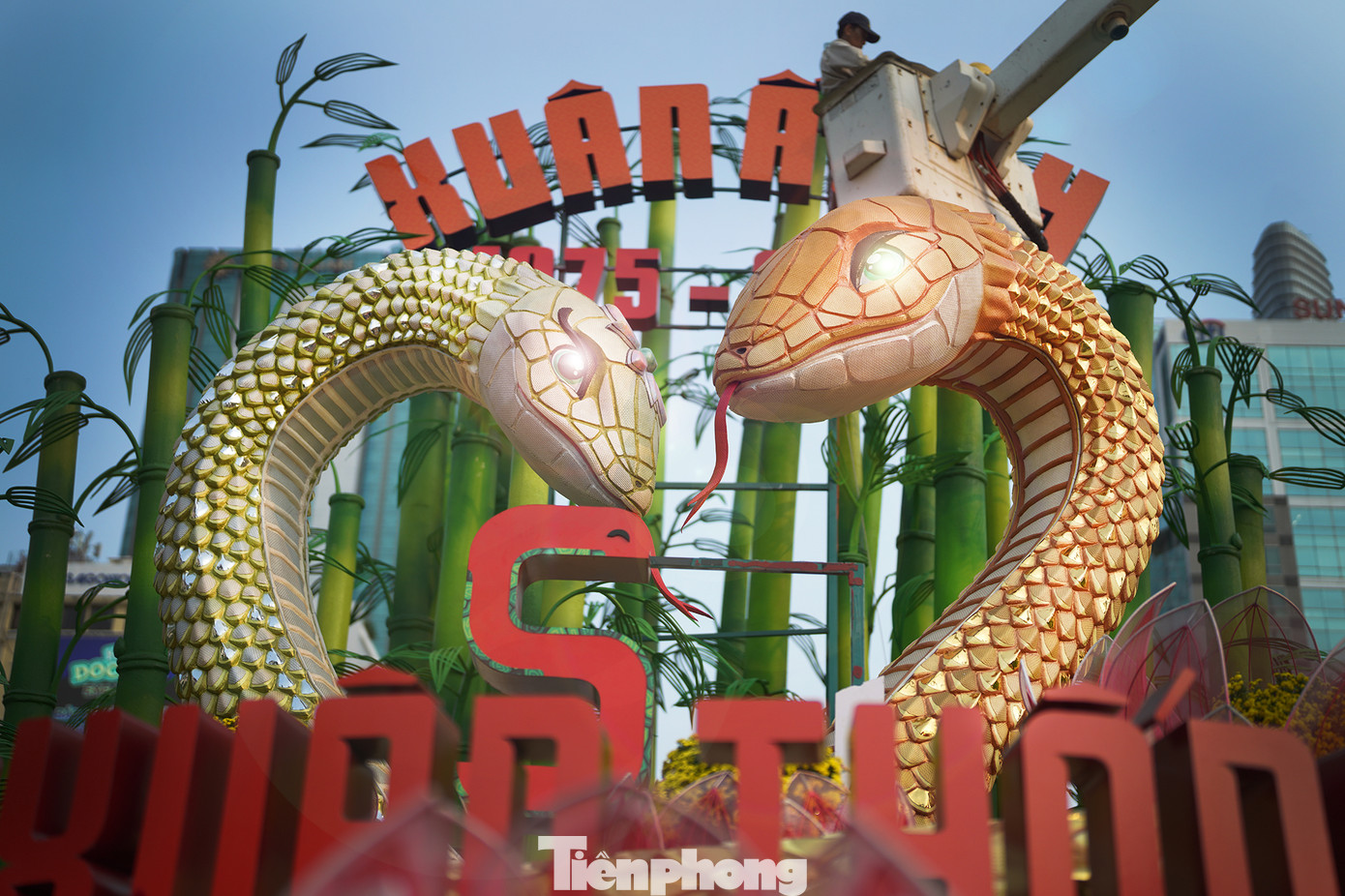 Cặp đôi Kim Tỵ (con cái) và Ngân Tỵ (con đực) có ngoại hình ấn tượng về kích thước cũng như cách chế tác đang được các công nhân hoàn thiện khâu ánh sáng chiều 25/1.