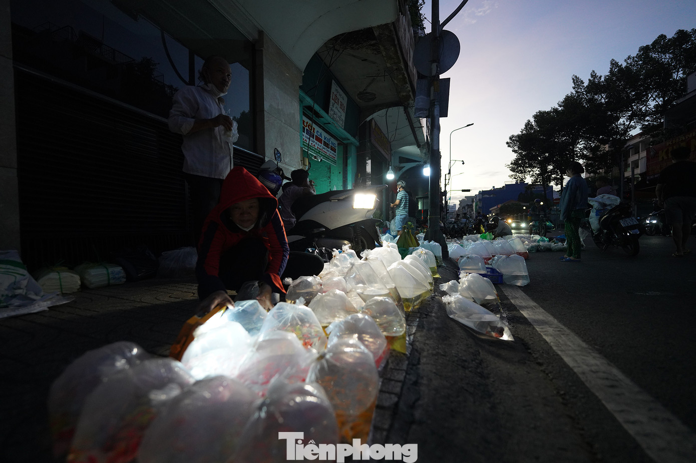 Trong bóng tối lờ mờ hay dưới ánh đèn vàng, người mua, kẻ bán trả giá xôn xao cả một khúc đường Trần Hưng Đạo. Theo các chủ hàng, giá cá tuỳ thuộc từng loại, kích cỡ, như cá ba đuôi có giá 180.000 đồng mỗi bịch 20 cá nhỏ, cá bảy màu 180.000 đến 200.000 đồng/bịch khoảng 20 cá nhỏ...