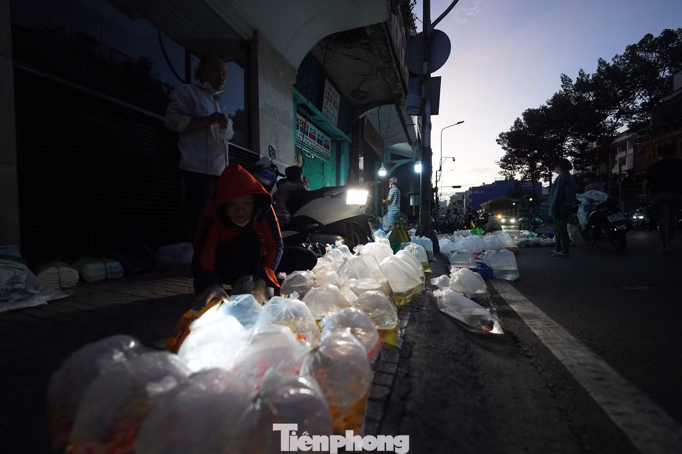 Trong bóng tối lờ mờ hay dưới ánh đèn vàng, người mua, kẻ bán trả giá xôn xao cả một khúc đường Trần Hưng Đạo. Theo các chủ hàng, giá cá tuỳ thuộc từng loại, kích cỡ, như cá ba đuôi có giá 180.000 đồng mỗi bịch 20 cá nhỏ, cá bảy màu 180.000 đến 200.000 đồng/bịch khoảng 20 cá nhỏ...