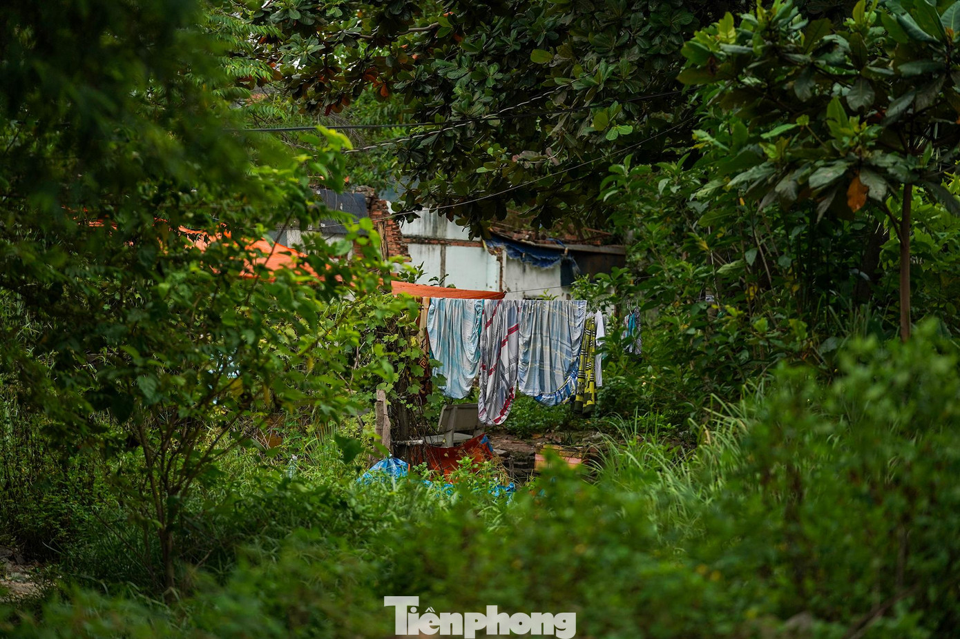 Trục chính đường Vành đai 2, đoạn gần nút giao Gò Dưa cây cối mọc um tùm, vẫn còn dấu hiệu người dân ở và sinh hoạt bên trong những căn nhà đã tháo dỡ một phần. Trục chính đường Vành đai 2, đoạn gần nút giao Gò Dưa cây cối mọc um tùm, vẫn còn dấu hiệu người dân ở và sinh hoạt bên trong những căn nhà đã tháo dỡ một phần.