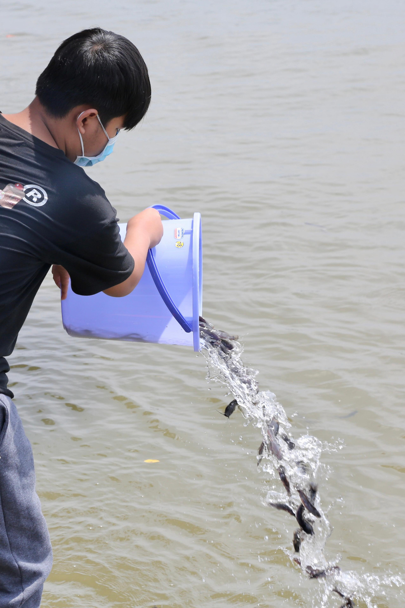 Một cách phóng sinh không đúng và được những người khác nhắc nhở. Một cách phóng sinh không đúng và được những người khác nhắc nhở.