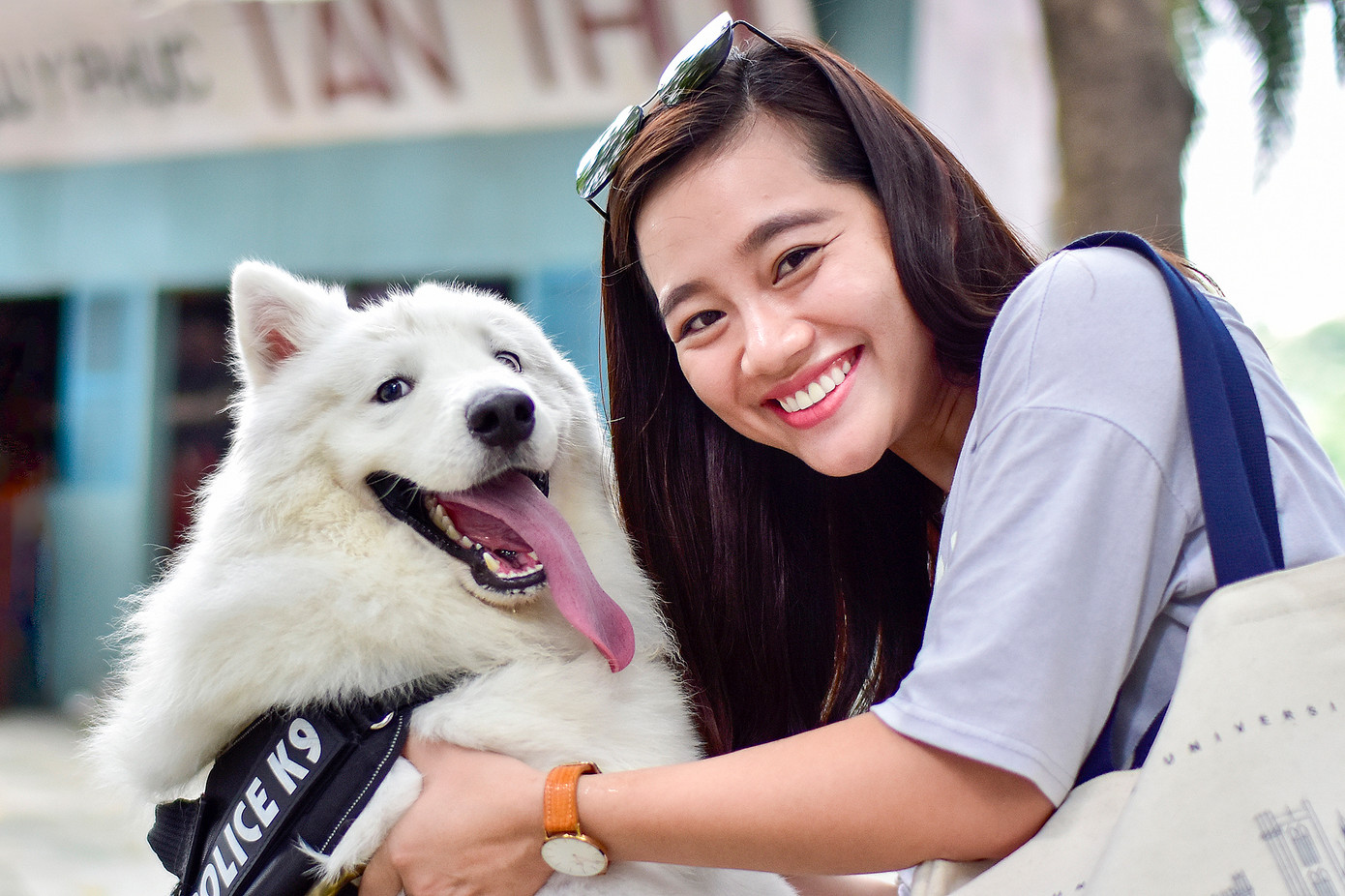 Các hoạt động dành cho thú cưng luôn thu hút du khách nhưng số lượng các sự kiện và cuộc thi lĩnh vực này có thể thấy chưa nhiều. Các hoạt động dành cho thú cưng luôn thu hút du khách nhưng số lượng các sự kiện và cuộc thi lĩnh vực này có thể thấy chưa nhiều.