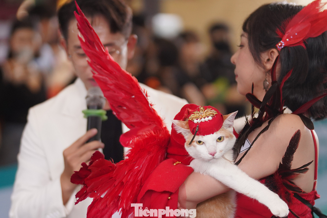 Chị Nguyễn Thảo Hiếu hoá trang chú mèo Misen của mình thành Phượng Hoàng lửa và giành giải cao trong phần thi thời trang thú cưng.