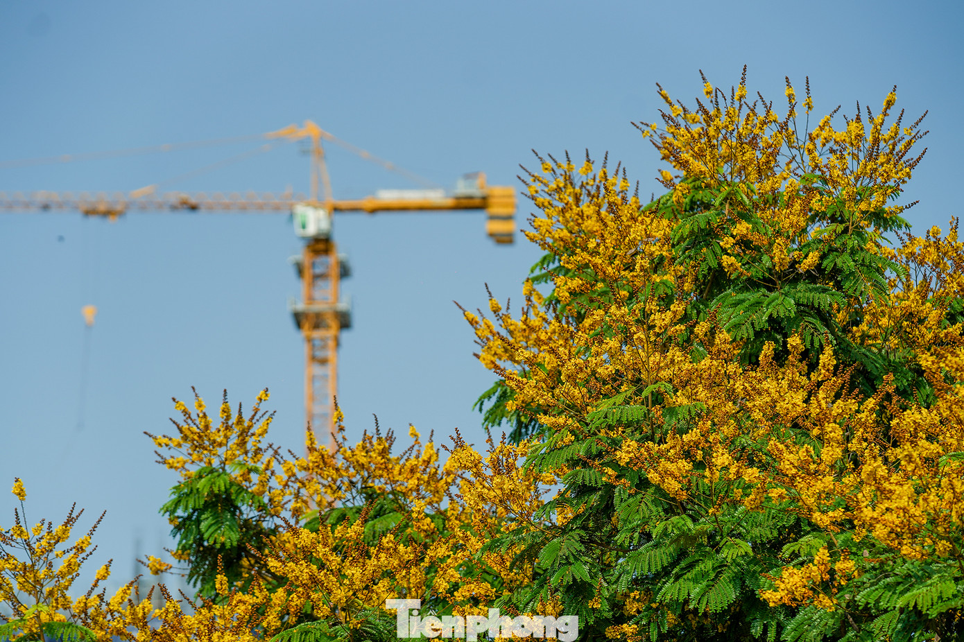 Với đặc điểm địa hình bán đảo, các công trình hạ tầng giao thông kết nối của Thủ Thiêm được chú trọng đầu tư trong nhiều năm qua. Cụ thể, phía Bắc bán đảo có cầu Thủ Thiêm và Xa Lộ Hà Nội. Kết nối với quận 1 là cầu Thủ Thiêm 2. Trong tương lai sẽ có cầu Thủ Thiêm 4 nối với quận 7 qua khu chế xuất Tân Thuận. Phía Đông còn có các tuyến đường quan trọng là đại lộ Mai Chí Thọ, Đồng Văn Cống, giúp kết nối Thủ Thiêm với đường Võ Chí Công, cảng Cát Lái. Bên trong nội khu bán đảo cũng có những tuyến đường quan trọng như Đại lộ Vòng cung, đường Ven hồ trung tâm, đường Ven sông, đường châu thổ.