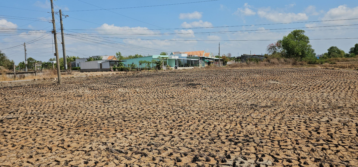 Khô hạn và xâm nhập mặn gia tăng.