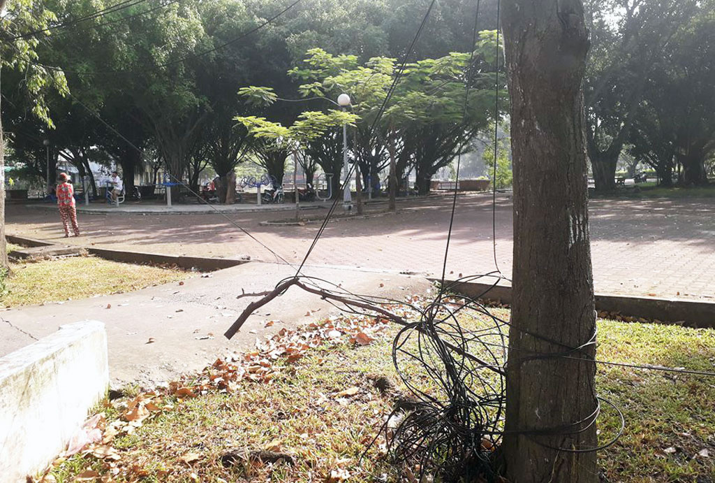 Bên trong công viên phường 3, TP Tân An.