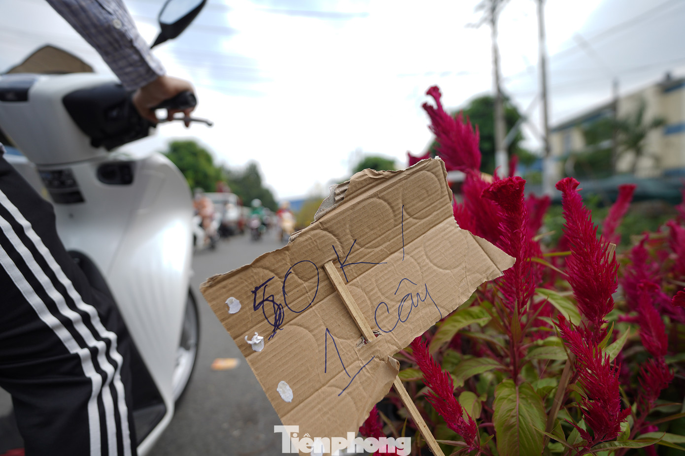 Giá thay đổi liên tục, sửa ngay trên giá cũ khiến người mua hoa cả mắt.