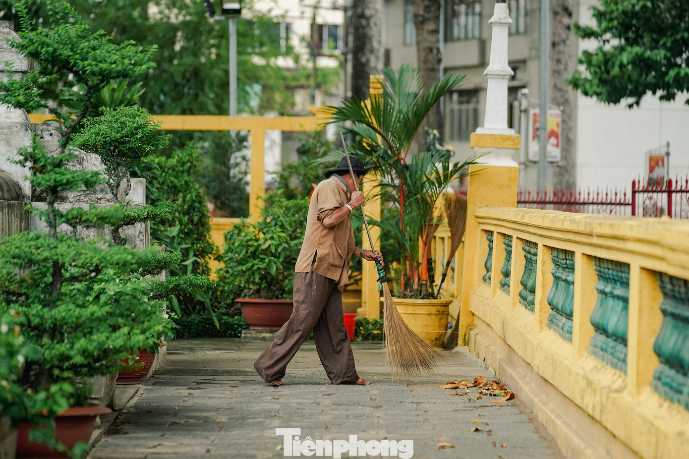 Giữa một đô thị náo nhiệt và sôi động như TPHCM, không nhiều nơi xào xạc tiếng chổi tre quét lá. Giữa một đô thị náo nhiệt và sôi động như TPHCM, không nhiều nơi xào xạc tiếng chổi tre quét lá.