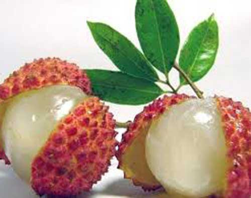 quả vải, gây hại, lưu ý, trẻ nhỏ