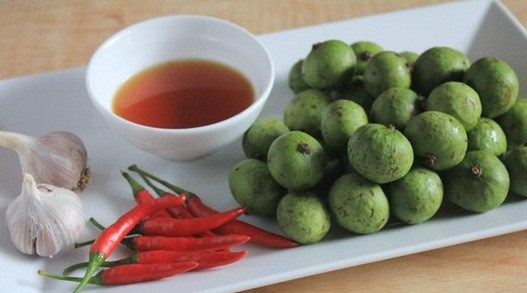 quả sấu, mùa sấu, lưu ý