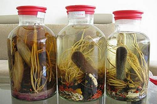 khoái cảm, món ăn, bài thuốc khoái cảm, món ăn, bài thuốc