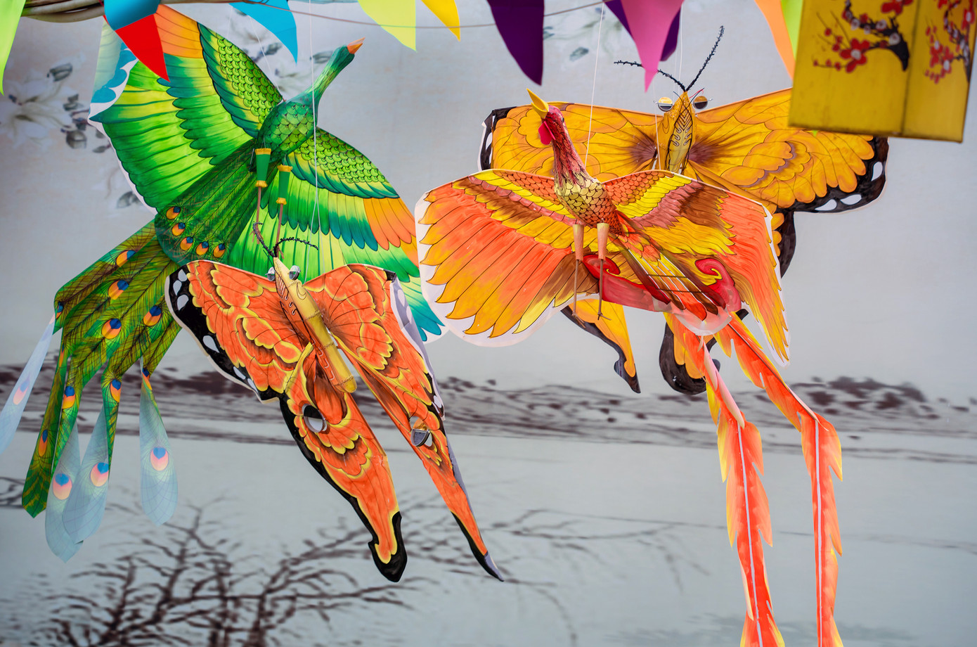 Không gian diều truyền thống được tái hiện qua nghệ thuật sắp đặt độc đáo. Mỗi khu trưng bày là một lát cắt văn hóa, từ sắc vàng cung đình của diều Huế đến hình dáng tự do phóng khoáng của diều Rạch Giá. Nhiều mẫu diều được thiết kế riêng, mang dấu ấn cá nhân của các nghệ nhân, kết hợp giữa chất liệu truyền thống và sáng tạo hiện đại. Ảnh: Đỗ Hưng
