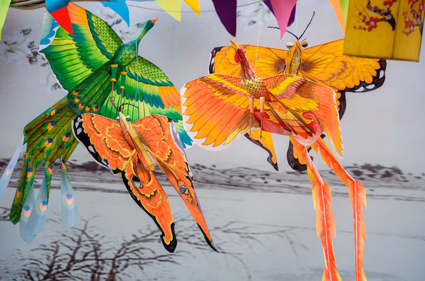 Không gian diều truyền thống được tái hiện qua nghệ thuật sắp đặt độc đáo. Mỗi khu trưng bày là một lát cắt văn hóa, từ sắc vàng cung đình của diều Huế đến hình dáng tự do phóng khoáng của diều Rạch Giá. Nhiều mẫu diều được thiết kế riêng, mang dấu ấn cá nhân của các nghệ nhân, kết hợp giữa chất liệu truyền thống và sáng tạo hiện đại. Ảnh: Đỗ Hưng