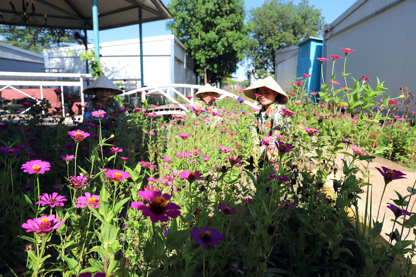 Cán bộ, hội viên Chi hội Phụ nữ chăm sóc vườn hoa trong khuôn viên đơn vị.