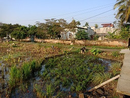 Khẩn cấp lập tổ công tác đặc biệt để xử lý sự cố tràn dầu ảnh 1