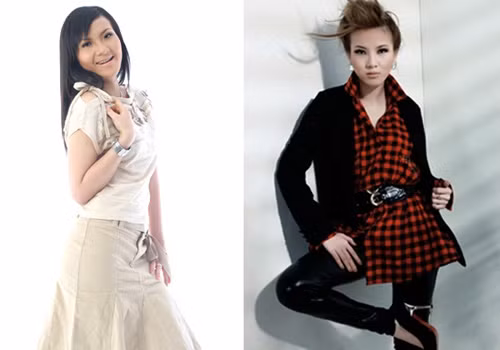 Sao Việt và những hậu quả làm đẹp ảnh 4