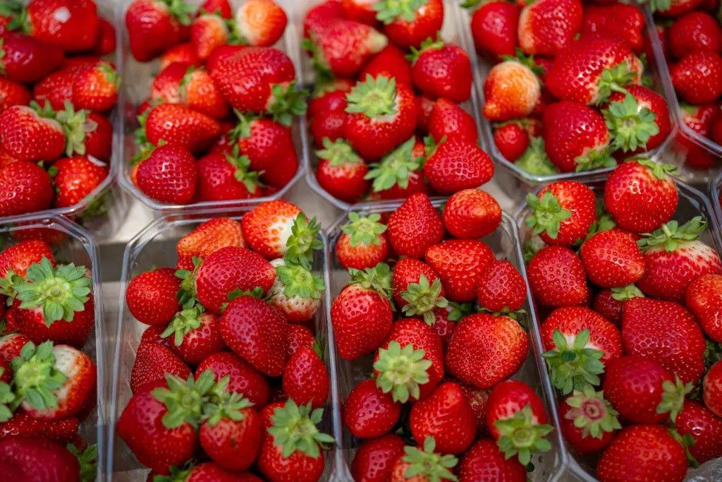 Ăn dâu tây hàng ngày có thể giảm chứng mất trí nhớ và trầm cảm