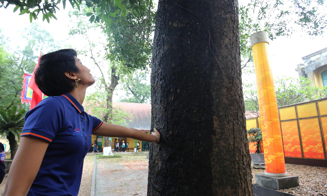 Hoa hậu H'hen Niê duyên dáng trong hành trình Tri ân tại Hà Nội ảnh 10