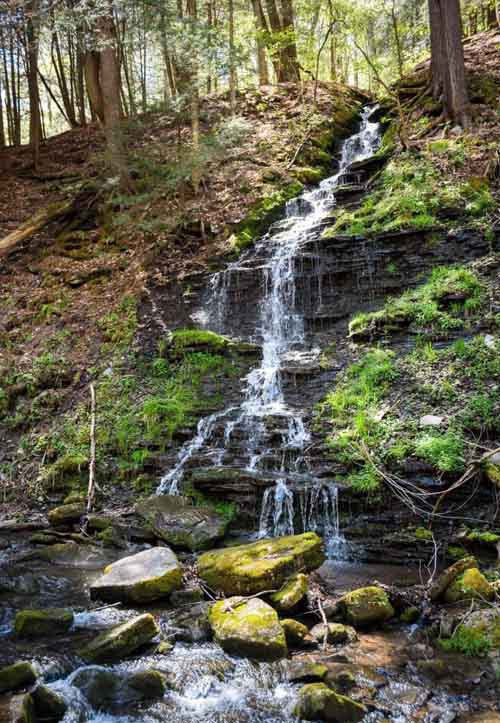 Khu rừng bí ẩn nằm trong lòng nước Mỹ ảnh 8