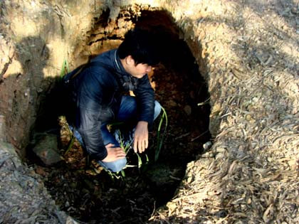 Tác giả dưới một hầm đào kho báu