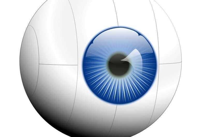 Mô hình học sâu võng mạc