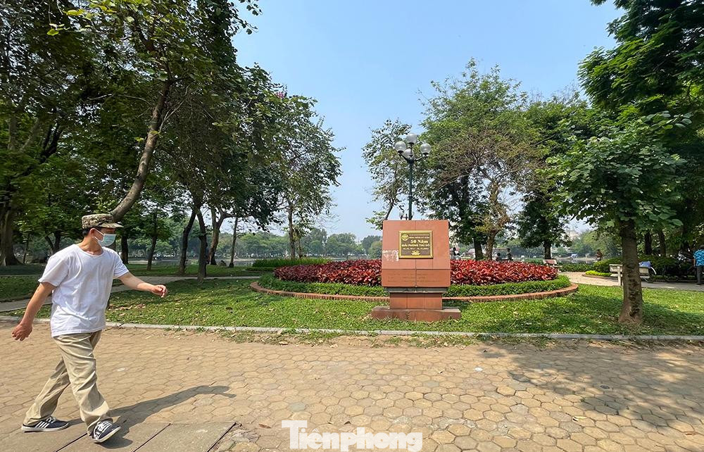 Về phạm vi hoạt động, quận nêu 2 giai đoạn: Giai đoạn 1: Gồm tuyến phố Trần Nhân Tông (đoạn từ nút giao với phố Quang Trung đến ngã 3 Trần Bình Trọng), trục chính công viên Thống Nhất (đoạn từ cổng công viên Thống Nhất đến hồ Bảy Mẫu) và toàn bộ khu vực vườn hoa, cây xanh, đường dạo xung quanh hồ Thiền Quang. Tổng chiều dài tuyến phố đi bộ dự kiến khoảng 1.600m. Tổng diện tích sử dụng dự kiến khoảng 11.000m2 (trong đó khoảng 4.800m2 mặt nước). Thời gian hoạt động từ thứ 7 đến Chủ nhật hàng tuần và các ngày lễ, sự kiện theo kế hoạch. Về phạm vi hoạt động, quận nêu 2 giai đoạn: Giai đoạn 1: Gồm tuyến phố Trần Nhân Tông (đoạn từ nút giao với phố Quang Trung đến ngã 3 Trần Bình Trọng), trục chính công viên Thống Nhất (đoạn từ cổng công viên Thống Nhất đến hồ Bảy Mẫu) và toàn bộ khu vực vườn hoa, cây xanh, đường dạo xung quanh hồ Thiền Quang. Tổng chiều dài tuyến phố đi bộ dự kiến khoảng 1.600m. Tổng diện tích sử dụng dự kiến khoảng 11.000m2 (trong đó khoảng 4.800m2 mặt nước). Thời gian hoạt động từ thứ 7 đến Chủ nhật hàng tuần và các ngày lễ, sự kiện theo kế hoạch.