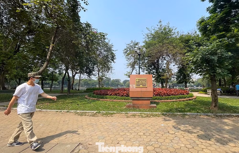 Về phạm vi hoạt động, quận nêu 2 giai đoạn: Giai đoạn 1: Gồm tuyến phố Trần Nhân Tông (đoạn từ nút giao với phố Quang Trung đến ngã 3 Trần Bình Trọng), trục chính công viên Thống Nhất (đoạn từ cổng công viên Thống Nhất đến hồ Bảy Mẫu) và toàn bộ khu vực vườn hoa, cây xanh, đường dạo xung quanh hồ Thiền Quang. Tổng chiều dài tuyến phố đi bộ dự kiến khoảng 1.600m. Tổng diện tích sử dụng dự kiến khoảng 11.000m2 (trong đó khoảng 4.800m2 mặt nước). Thời gian hoạt động từ thứ 7 đến Chủ nhật hàng tuần và các ngày lễ, sự kiện theo kế hoạch.