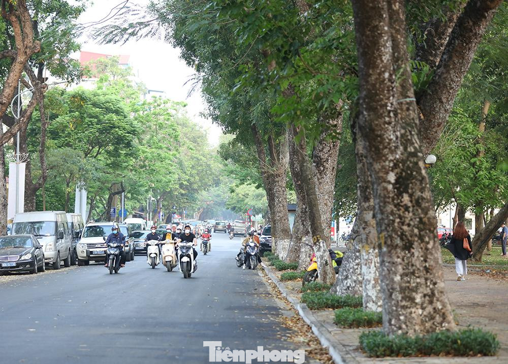 Dọc tuyến đường Nguyễn Du cùng với khu vực vỉa hè được thiết kế xây dựng thích hợp với các tiêu chí của phố đi bộ theo quy định. Cụ thể, các tuyến đường đều có lòng đường, vỉa hè rộng, cây xanh bóng mát, kiến trúc cảnh quan đẹp. Dọc tuyến đường Nguyễn Du cùng với khu vực vỉa hè được thiết kế xây dựng thích hợp với các tiêu chí của phố đi bộ theo quy định. Cụ thể, các tuyến đường đều có lòng đường, vỉa hè rộng, cây xanh bóng mát, kiến trúc cảnh quan đẹp.