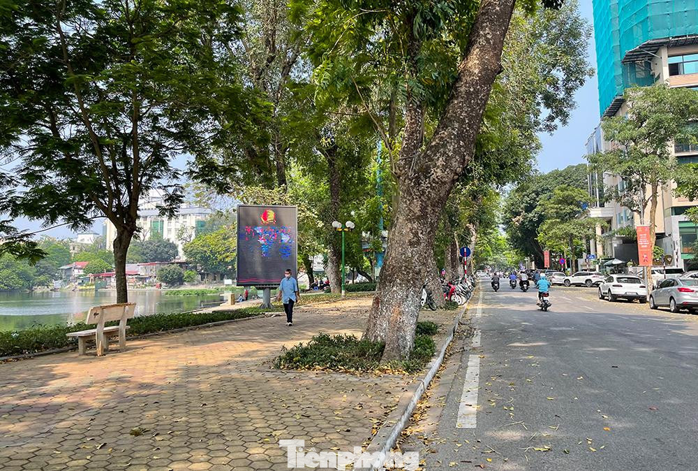 Giai đoạn 2: Mở rộng các tuyến phố xung quanh hồ Thiền Quang (phố Quang Trung, Nguyễn Du, Trần Bình Trọng) và vùng phụ cận. Thời gian hoạt động từ chiều thứ 6 đến Chủ nhật hàng tuần. Giai đoạn 2: Mở rộng các tuyến phố xung quanh hồ Thiền Quang (phố Quang Trung, Nguyễn Du, Trần Bình Trọng) và vùng phụ cận. Thời gian hoạt động từ chiều thứ 6 đến Chủ nhật hàng tuần.