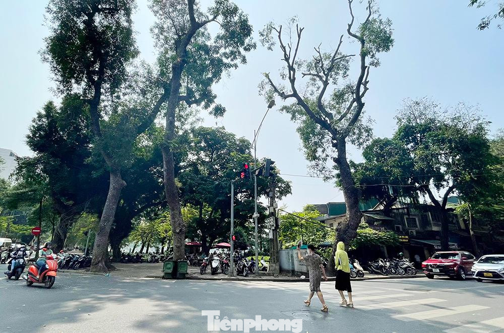 Nếu được UBND TP Hà Nội chấp thuận, không gian phố đi bộ - văn hoá khu vực phố Trần Nhân Tông và phụ cận, vườn hoa đường dạo quanh hồ Thiền Quang thuộc quận Hai Bà Trưng sẽ là không gian đi bộ thứ 6 ở Hà Nội. Nếu được UBND TP Hà Nội chấp thuận, không gian phố đi bộ - văn hoá khu vực phố Trần Nhân Tông và phụ cận, vườn hoa đường dạo quanh hồ Thiền Quang thuộc quận Hai Bà Trưng sẽ là không gian đi bộ thứ 6 ở Hà Nội.