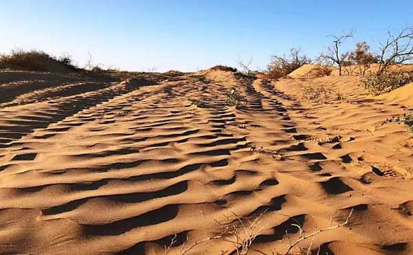 Ngôi làng 'ma thuật' trên sa mạc: xuất hiện ban ngày, biến mất vào ban đêm ảnh 2
