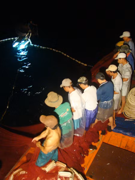 Phiên lưới lúc nửa đêm