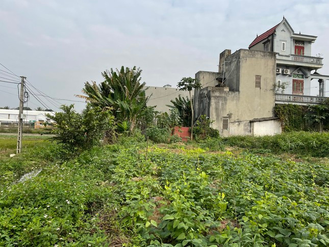 Hiện trạng khu vực đất ở, xã Quảng Chính (huyện Quảng Xương) liên quan đến sai phạm của các bị cáo trong vụ án