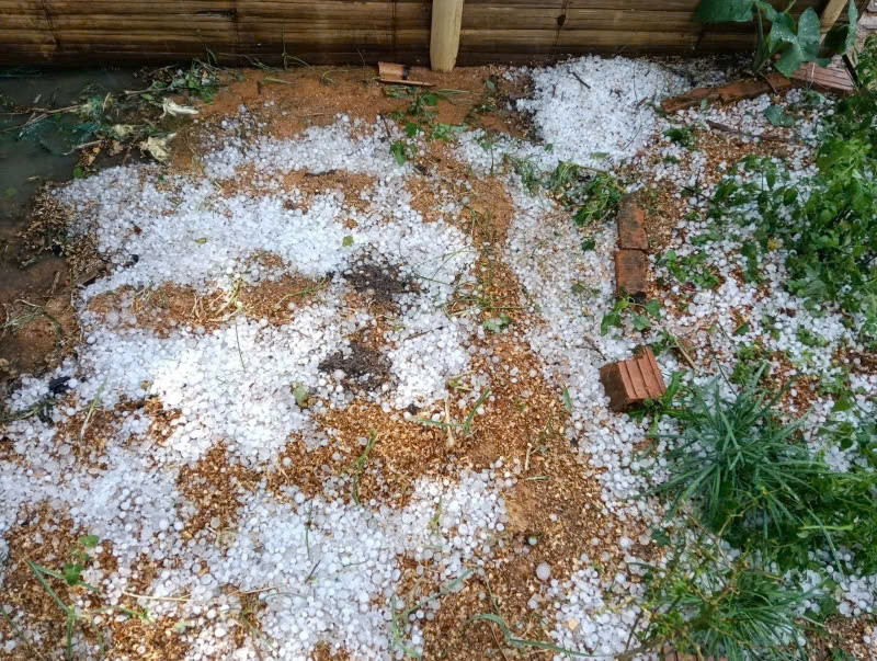 Theo quan sát, trận mưa đá này kéo dài khoảng 15 phút. Theo quan sát, trận mưa đá này kéo dài khoảng 15 phút.