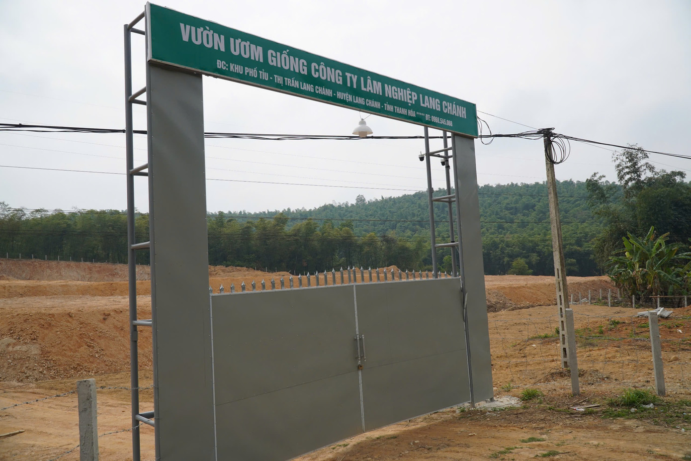 Công ty Lâm nghiệp Lang Chánh san gạt đất rừng sản xuất khi chưa được cơ quan chức năng cấp phép. Công ty Lâm nghiệp Lang Chánh san gạt đất rừng sản xuất khi chưa được cơ quan chức năng cấp phép.