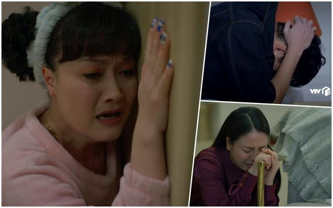 Ra khỏi bệnh viện tâm thần, Diễm Loan tiếp tục trải qua biến cố khi biết hai đứa con sinh đôi của mình không cùng cha.