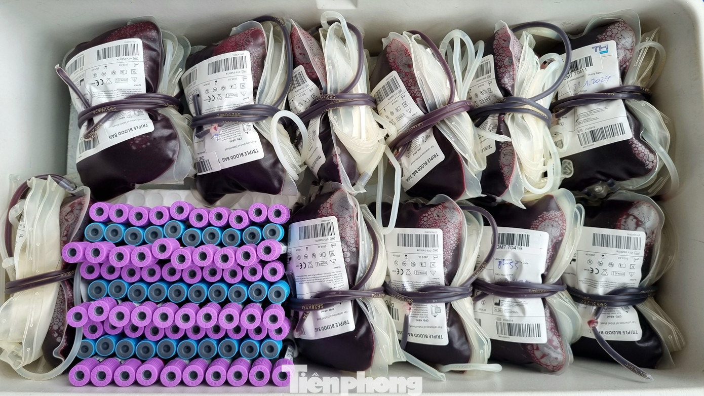 Những giọt máu nghĩa tình được tiếp nhận. Những giọt máu nghĩa tình được tiếp nhận.